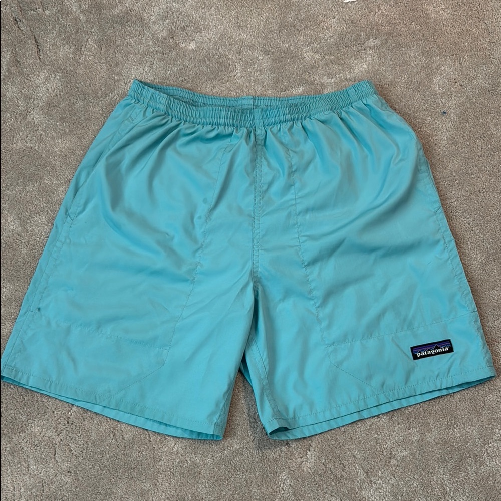 Patagonia Men’s Trunks/Shorts